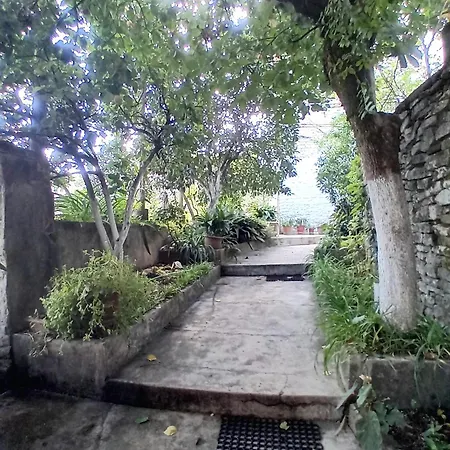 House H